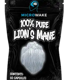 Lion’s Mane